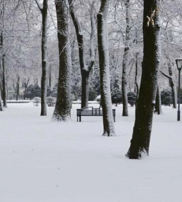 У Полтаві очікується сніг та ожеледиця