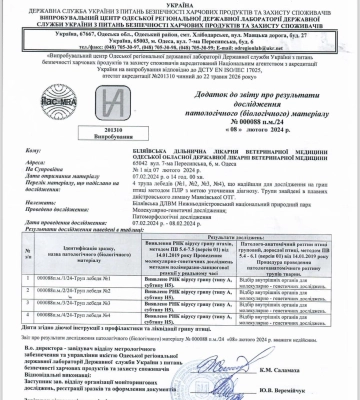 Стала відома причина загибелі лебедів у пониззі Дністра на Одещині