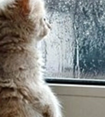 Хмарно з проясненнями та дощ: якою буде погода у Дніпрі 11 лютого