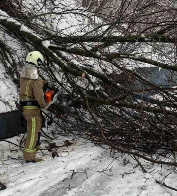 У Полтаві надзвичайники прибирали повалені дерева з доріг