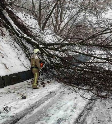 У Полтаві надзвичайники прибирали повалені дерева з доріг