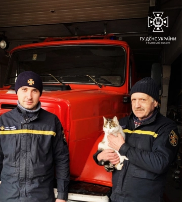 Кіт-рятувальник живе у пожежній частині на Львівщині