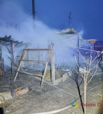 В Одеському районі під час пожежі згоріли свині, кури, качки та кролики