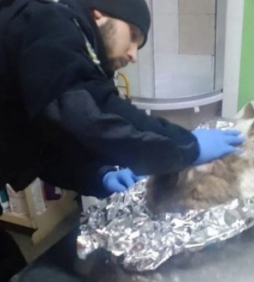 У Дніпрі патрульні врятували травмованого кота