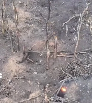 Штурмовики ВСУ взяли в плен сразу 11 оккупантов. ВИДЕО