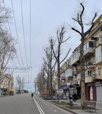 В КП «Миколаївські парки» пояснили ситуацію з обрізкою платанів на Соборній