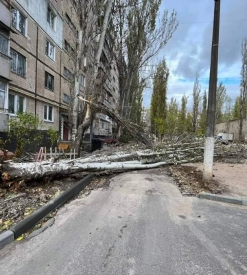 Минулого року буревії повалили в Миколаєві більше 400 дерев