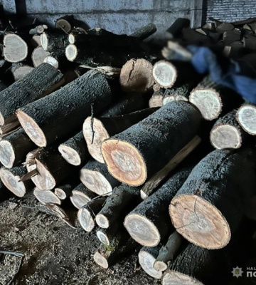 На Кіровоградщині “чорні лісоруби” знищили дерев на понад мільйон гривень