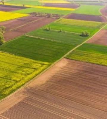 Актуально для платників ЄП – власників, орендарів, користувачів земельних ділянок – сільськогосподарських угідь