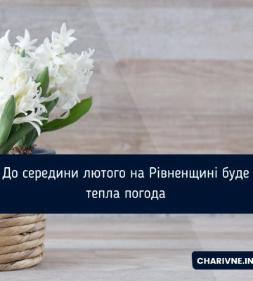 До середини лютого на Рівненщині буде тепла погода