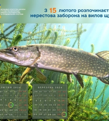 На Одещині розпочинається нерестова заборона на вилов щуки