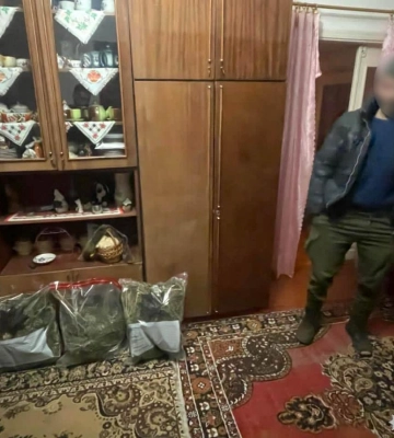 На Рівненщині викрили чоловіка на зберіганні нарковмісних рослин