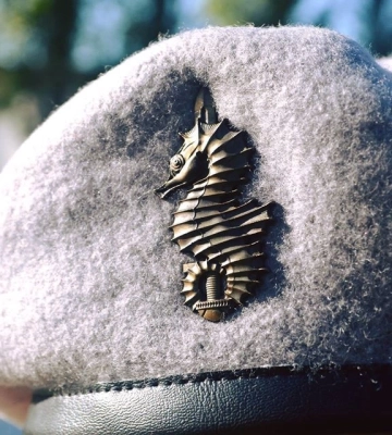 ССО показали зачистку спостережних постів ворога на Південному напрямку
