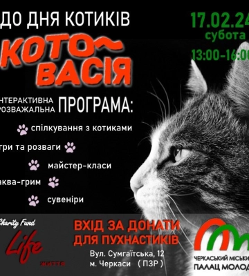У Черкасах відбудеться благодійний інтерактивний захід до Дня котів