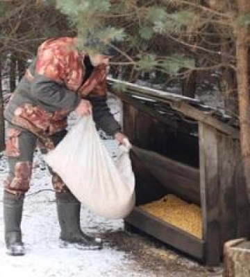 Лісівники Полтавщини підгодовують диких тварин