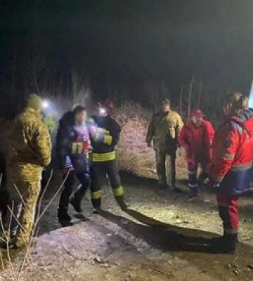 Хотели за границу, а попали на дерево: на Закарпатье задержали двух нарушителей границы