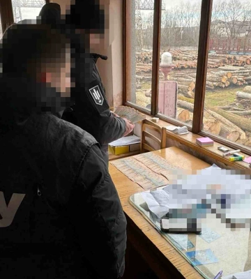 Депутат міськради на Львівщині розкрадав деревину, яка призначалась для оборонних споруд