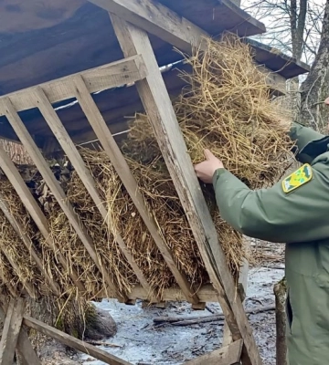 На Кіровоградщині підгодовують диких тварин (ФОТО)