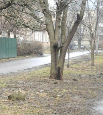 У Полтаві похолодає та буде сухо