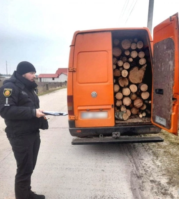 Пропонував хабар за незаконну деревину житель Рівненщини