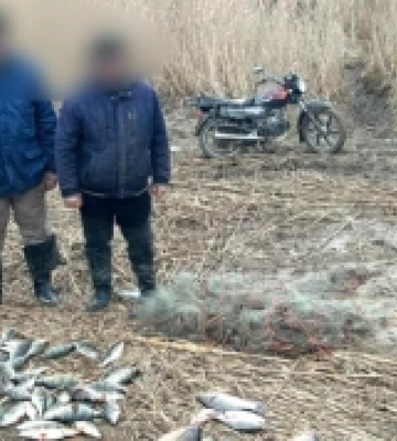 На Дністровському лимані затримали двох браконьєрів з уловом на суму понад 400 тисяч гривень