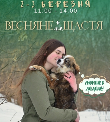 У Сумах пройде презентація-прилаштування безпритульних собак