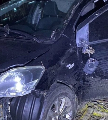 На Полтавщині 55-річний водій вилетів у кювет та перевернувся, від чого помер на місці