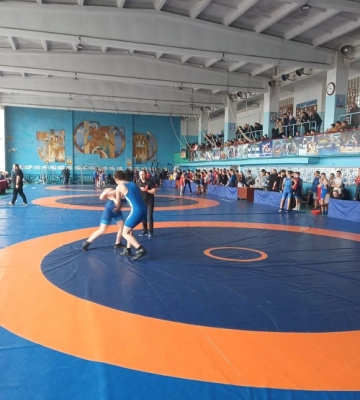 У Миколаєві пройшов зональний чемпіонат України з греко-римської боротьби, на честь загиблих спортсменів (ФОТО)