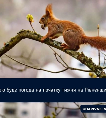 Якою буде погода на початку тижня на Рівненщині?