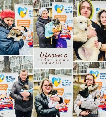 У Миколаєві відбулась виставка-прилаштування тварин