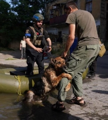 У Миколаєві відбулась виставка-прилаштування тварин