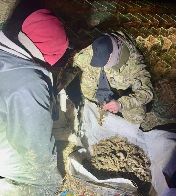 В Ізмаїльському районі викрили браконьєрів, які завдали державі збитків на 870 тисяч гривень