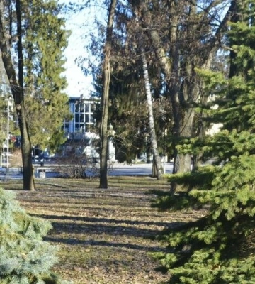 На Полтавщині опадів не передбачається