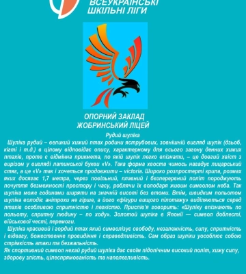 Школи Рівненщини обирають назву своїх команд у проєкті «Пліч-о-пліч Всеукраїнські шкільні ліги»