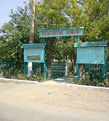 На Миколаївщині оголосили підозру екс-директору лісгоспу – його звинувачують в збитках на ₴44,6 мільйони