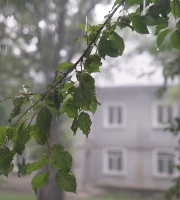 Якою буде погода в Івано-Франківську 21 лютого?