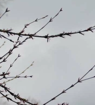 В Україні буде мокро та хмарно: якою очікується погода у Дніпрі 21 лютого