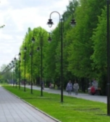 Садитимуть однорічники та дворічники: на озеленення у Луцькій громаді планують витратити понад 13 мільйонів гривень