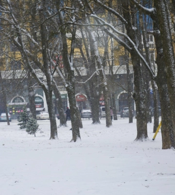 Полтаву знову засніжило: як місто жило в заметіль