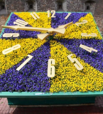 У Львові поламався квітковий годинник