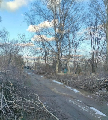 У Дніпрі на кладовищі спиляли десятки дерев