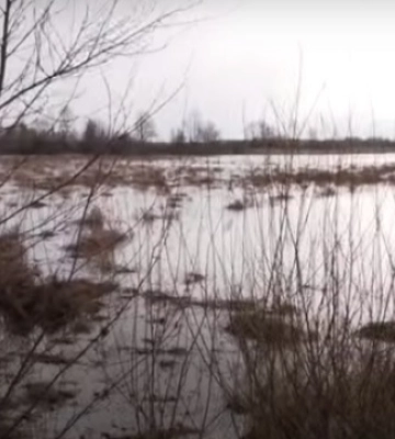 Скільки лампочок обміняли на Волині