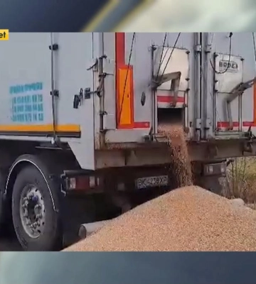 Блокада польсько-українського кордону: із фур рівненських перевізників протестувальники викидають українське зерно (ВІДЕО)
