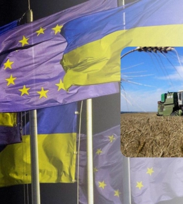 Украина может отказаться от аграрных субсидий ЕС: в чем причина