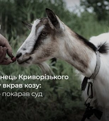 На Криворіжжі засудили чоловіка, який з чужого подвір’я викрав козу