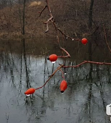У Кривому Розі засудили до 15 років ворожу агентку, яка корегувала вогонь по військовій техніці та локаціях ЗСУ