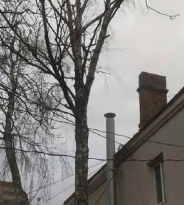 Ти, малий, скажи малому: як луцькі комунальники не можуть зрізати дерево