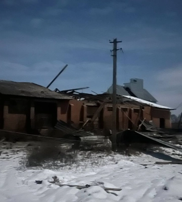 Российские оккупанты убили 15 коров, обстреливая Харьковскую область