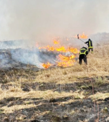 За добу рятувальники Львівщини ліквідували 10 пожеж сухої трави