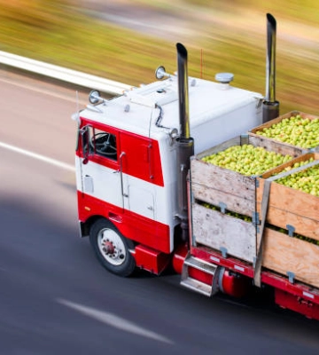 Латвія заборонила імпорт сільськогосподарської і тваринницької продукції з росії та білорусі